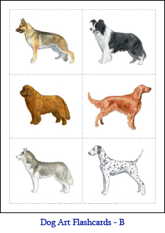 Small Format Dog Flashcards – Set B – Dogs